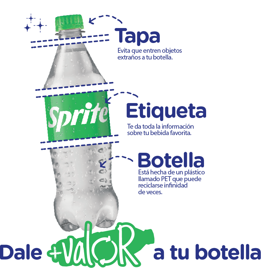 Anatomía de una botella PET con tapa, etiqueta y botella